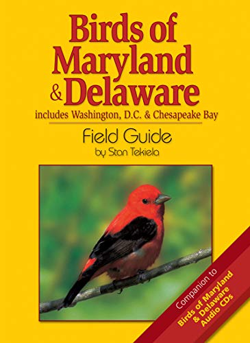 Birds of Maryland & Delaware Field Guide: Includes Washington, D.C. & Chesapeake Bay (Bird Identification Guides) (The Best Bird Feeders)