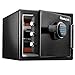 SentrySafe Fireproof and Waterproof Steel Home Safe with Digital Keypad Lock, Secure Documents, Jewelry and Valuables, 0.82 Cubic Feet, 13.7 x 16.3 x 19.3 Inches, SFW082F