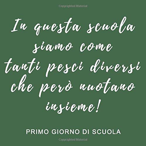 Amazonit In Questa Scuola Siamo Come Tanti Pesci Diversi