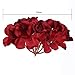 Veryhome Blooming Silk Hydrangea Flower Heads for DIY Bouquets Wedding Centerpieces Home Decor 12pcs red