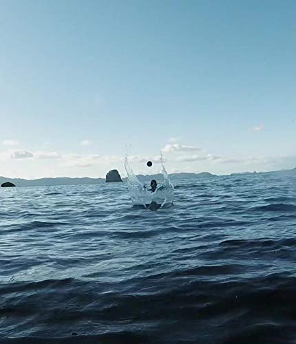 image for Wave Runner Mega Ball #1 Water Ball for Skipping and Bouncing The Perf