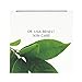 Dr Lisa Benest Skin Care 20% Glycolic Alpha Hydroxy Acid Anti Aging Day Night Alpha Lipoic DMAE Green Tea Peptide Ferulic Face Cream 1.75 Ounce