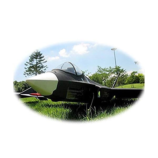 ReedG Ferngesteuertes Segelflugzeugmodell 916mm Spannweite EPS Jet Warbird RC Flugzeug PNP Mit 70mm EDF Einheit (Farbe… – Bild 3
