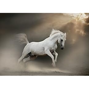 3 Piece Canvas Wall Art - White Arabian Stallion in Dust - Modern Home Art Stretched and Framed Ready to Hang - 16"x24"x3 Panels