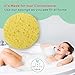 Facial Sponges (50-Count) JJBATHCO | Made in USA | Natural Facial Makeup Remover, Pore Exfoliator | Spa, Professional, Reusable, Biodegradable | Compressed Cellulose Sponges | Free E Book Included