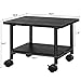 VASAGLE Heavy-Duty Printer Stand with Locking Wheels, 2-Tier Industrial Mobile Cart with Storage Shelf, Under Desk Printer Table for Home, Office, 13.4