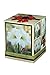 Amaryllis Kit: Athene with Plastic Pot/Saucer/Bulb - 26/28 cm Bulb - Netherland