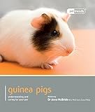 Guinea Pig (Pet Friendly) by