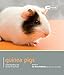 Guinea Pig (Pet Friendly) by