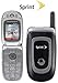 Motorola C290