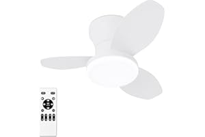 Glowall Small Ceiling Fan with Lights, 25 Inch Flush Mount with Remote Control, Reversible Quiet DC Motor, White, 3 Blades, 6