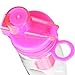 Great Gear Fruit Infuser Water Bottle 25 oz Leak Proof Flip-top Sport Water Bottle BPA-Free Tritan 25 Oz (Pink)