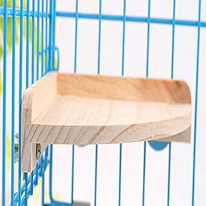 MQUPIN - Trespolo in legno per uccelli piccoli, per parrocchetti, cocorite, pappagallini, adatta anche per criceti… - immagine 5