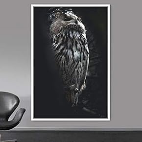 signwin Framed Canvas Wall Art Owl Birds Dramatic...