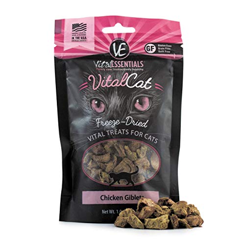 Vital Cat Freeze Dried Chicken Giblets Treats - All Natural - Essential Amino Acids Promotes Healthy Weight Made in USA - 1 oz Resealable Pkg