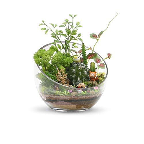 WGV Clear Slant Cut Bowl Glass Vase, Glass Terrarium, Candy Dish