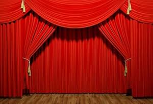 Amazon.com : Leowefowa 7x5ft Vinyl Theater Stage Interior
