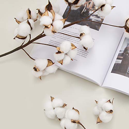 JOYPEA Cotton Stems - 6 Pack 10 Balls Per Stem - 23 Inch Farmhouse Display Filler-Foral Decoration - Thumbnail 4
