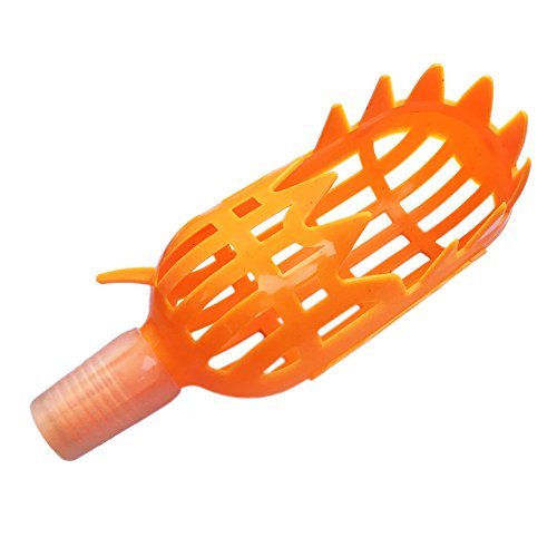 (Upgraded) HANZIUP Fruit Picker Basket Head, Labor Saving Tool Fruits Catcher for Harvest Picking Apple Mango Pear Peach Mango Kiwi Lemon Cherry