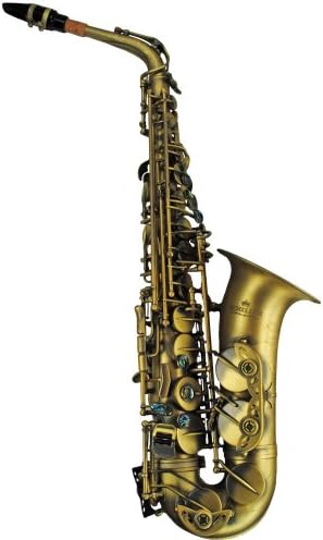 Schiller Elite V Alto Saxophone - Antique Brass Finish