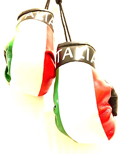 italian boxing gloves for car