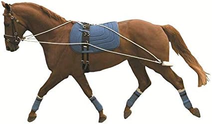 Kincade Lunging Training System