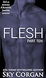 Flesh: Part Ten (The Flesh Series Book 10)