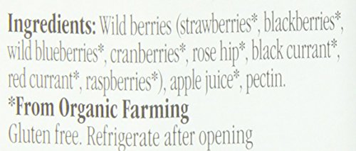 FIOR DI FRUTTA, FRUIT SPREAD WILD BERRY ORGANIC, 8.82 OUNCE