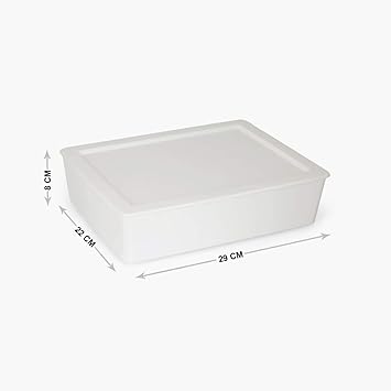 Home Centre Regan Ashley Solid Rectangular Drawer Organiser With