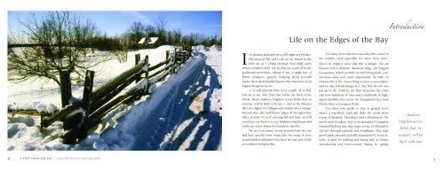 A View of the Bay: Collingwood and Beyond