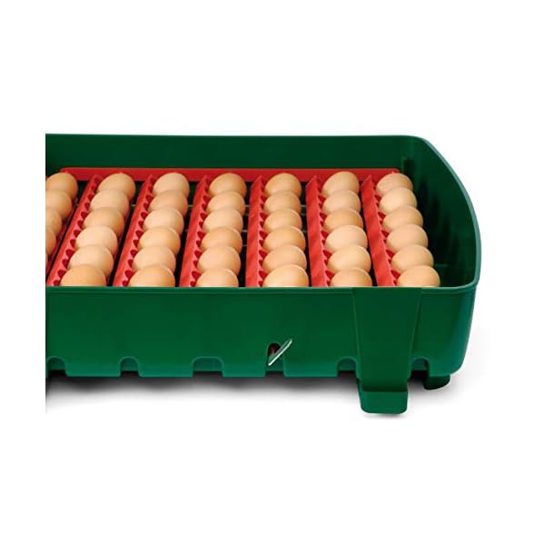 Incubatrice Per Uova Automatica Digitale Con Girauova, Capacità 49 Uova Di Gallina, Anatra, Oca, Tacchino, 196 Uova Di…