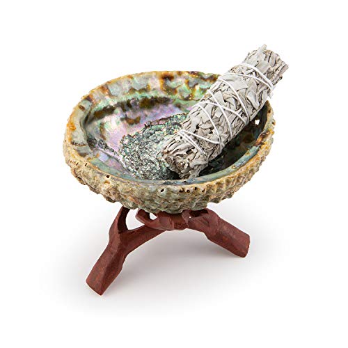 4 Tatum+Shea+Sage+Smudge+Small