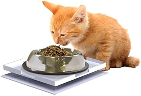 ant free cat bowl australia