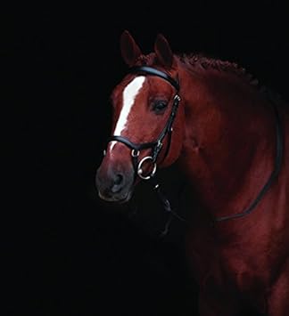 Horseware Rambo Micklem Competition Bridle Trense schwarz wählbare Größe