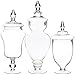 Home Essentials & Beyond Home Essentials Set of 3 apothecary jars, 12, 15, 16, 12,15, Clear
