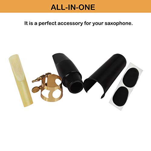 Alto Saxophone Mouthpiece Kit, Saxophone Mouthpiece with Metal Ligature, Saxophone 2.5 Reeds, Cushions and Plastic Cap