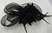 Anita Women's Fascinators Small Hairpin Feather hat (One Size, Black)