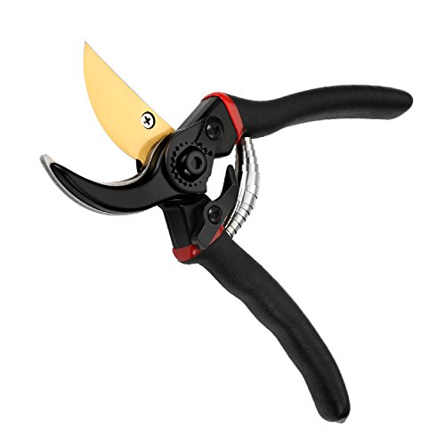 Vilapur 8 inch Professional Premium Bypass Pruning Shears Roses Clippers (TM-PSS-003),Hand Pruners, Garden Clippers Flower Trimming and Harvesting Scissors