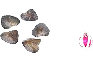 YYW 7-8mm Pearl Oyster Cultured Love Wish Round Pearls Oysters with Pearls Inside Mixed Color 5Oyster/lot +1 Necklace(Box Package)