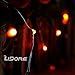 LIDORE Micro LED 20 Orange String Lights with Timer, Battery Operated on 7.87ft Long Silver Color Ultra Thin String Wire