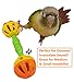 Tropical Chickens Bird Parrot Toys, Enrichment Rattle Bells, Barbell for Conures, Green Cheek, for Smaller Birds Foraging Foot Talon Toy (2X)