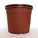 Grow Your Own Potatoes Pot, 2-Piece Plastic Container (Brown)