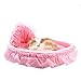 WYSBAOSHU Cute Princess Pet Bed Bow-TIE Lace Cat Dog Bed (L, Pink)thumb 1