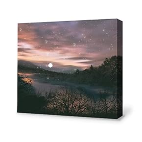 Canvas Wall Art for Living Room,Bedroom Home Artwork Paintings Secret Paradise Under The Moonlight Ready to Hang - 12x12 inches