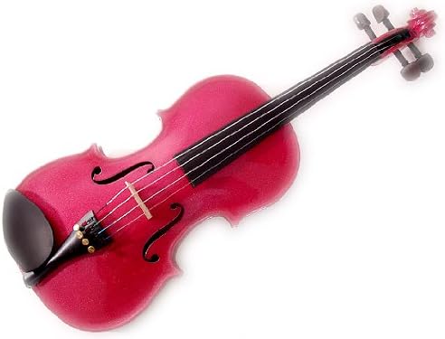 Stentor Harlequin Violin Outfit 1/4 Size, Violin for Intermediates with P&H Fibreglass Bow, Lightweight Case