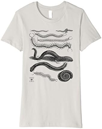 Womens Centipede T-Shirt Entomology Insects Bugs Science Art Large Silver