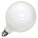 GE Soft White 49780 60-Watt, 660-Lumen G40 Soft White Bulb, 5-Inch Diameter with Medium Base, 1-Pack