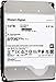 HGST Ultrastar He10 10TB SATA 6Gb/s 7200 RPM 256MB Cache 3.5-Inch Enterprise Hard Drive (HUH721010ALE604) (Renewed)