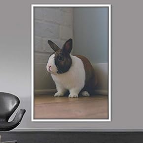 signwin Framed Canvas Wall Art Bunny Animals Bedroom...