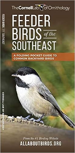 Buy Feeder Birds Of The Southeast A Folding Pocket Guide To